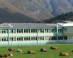 TKK életéből - a gyár környéke bizonyítja a környezetvédelemmel kapcsolatban az elhivatottságát.