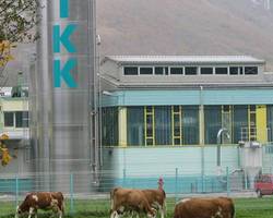 TKK életéből - a gyár környéke bizonyítja a környezetvédelemmel kapcsolatban az elhivatottságát.